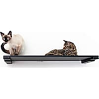 CatastrophiCreations The Cat Mod 34" Solid Wood Shelf for Cats in Onyx