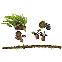 Plant Pack 3 - Decor for 20-29 Gallon Tanks