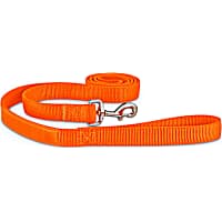 Good2Go Bright Orange Reflective Dog Leash