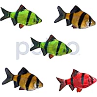 Petco glofish store