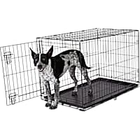 Animaze 1-Door Folding Dog Crate