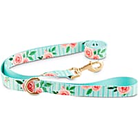 Good2Go Pink Rose Print Dog Leash in Blue