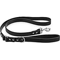 Bond & Co. Black Leather Leash