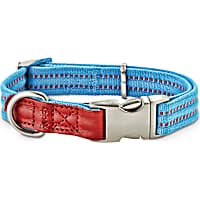 Reddy Cerulean Blue Webbed Dog Collar