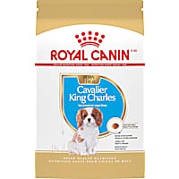 Royal Canin Breed Health Nutrition Cavalier King Charles Dry Puppy Food