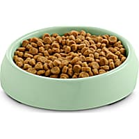Harmony Mint Single Cat Bowl Base