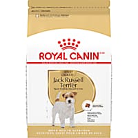 Royal Canin Breed Health Nutrition Jack Russell Terrier Adult Dry Dog Food