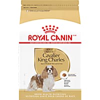 Royal Canin Breed Health Nutrition Cavalier King Charles Spaniel Adult Dry Dog Food