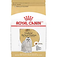 Royal Canin Breed Health Nutrition Maltese Adult Dry Dog Food