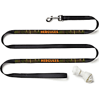 Custom Personalization Solutions Personalized Dog Leash