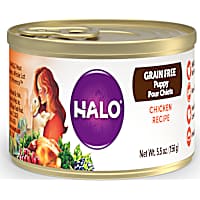 Halo Puppy Holistic Grain Free Chicken Recipe Canned Food