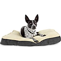 EveryYay Essentials Snooze Fest Grey Lounger Dog Bed