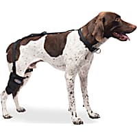 Caldera Hot & Cold Therapy Wrap with Gel for Dog Short Stifles