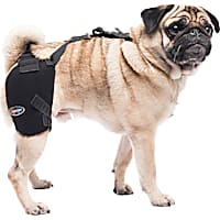Petco dog bandage best sale