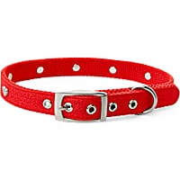 Bond & Co. Heart to Heart Stud Dog Collar
