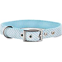 Bond & Co. Teal Seersucker Dog Collar