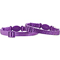 Good2Go Purple Breakaway Cat Collars