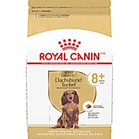 Royal Canin Breed Health Nutrition Dachshund 8+ Senior Dry Dog Food