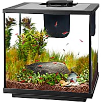 Aqueon LED 7.5 Gallon Shrimp Aquarium Kit