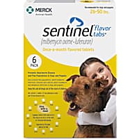 Prescription Dewormer for Dogs Tablets Chewables Petco