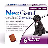 NexGard (afoxolaner) Flea and Tick Soft Beef Flavored Oral Chewables for Dogs 24.1 - 60 lbs. (Purple)