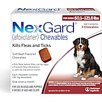 Anti flea clearance for dogs