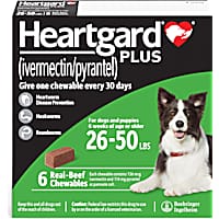 Flea and tick chewables for dogs petco top