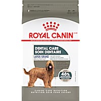 Royal Canin Canine Care Nutrition Large Dental Care Adult Dry Dog Food