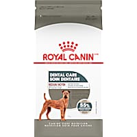 Royal Canin Canine Care Nutrition Medium Dental Care Adult Dry Dog Food
