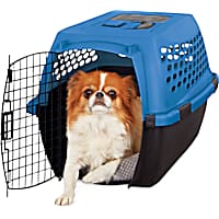 EveryYay Going Places Teal Pet Kennel