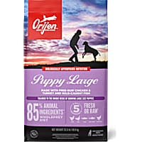ORIJEN Grain Free Large, High Protein, Fresh & Raw Animal Ingredients Dry Puppy Food