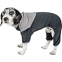 Petco dog sweaters and cheap coats