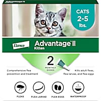 Petco frontline hot sale plus cats