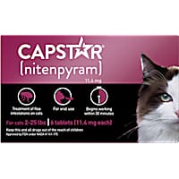 Kitten flea and tick treatment top