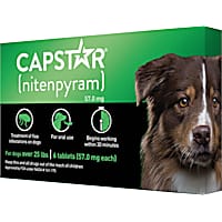 New flea medicine for dogs cheap