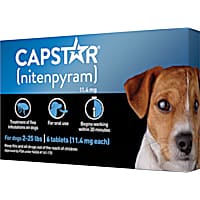 The best flea and tick pill for dogs 2025