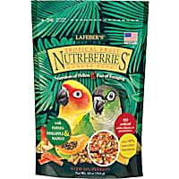 Petco sun deals conure price