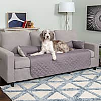 Petsmart furniture covers outlet
