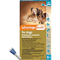 Dog Heartworm Medicine Prescription Heartworm Meds Petco