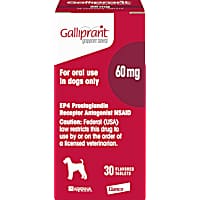 Petco dog pain relief outlet