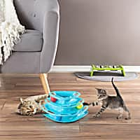 TACKDG Cat Toy Indoor for Cats Interactive Best Kitten Puzzle Toys Sel –  Kadtc Pet Supplies INC