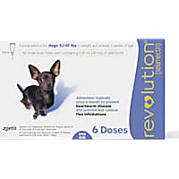 Revolution Topical Solution for Dogs 5.1-10 lbs