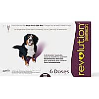 Revolution Topical Solution for Dogs 85-130 lbs