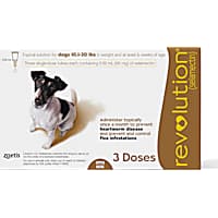 Revolution Topical Solution for Dogs 10.1-20 lbs