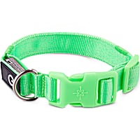 Good2Go Neon Green LED Light-Up Dog Collar
