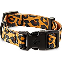 Good2Go Cheetah-Print Dog Collar