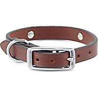 Bond & Co. Studded Leather Dog Collar
