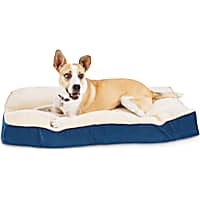 EveryYay Essentials Snooze Fest Blue Lounger Dog Bed