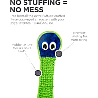 Outward Hound Invincibles Nubby Snake Dog Toy