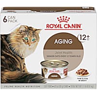 Best senior cat on sale food